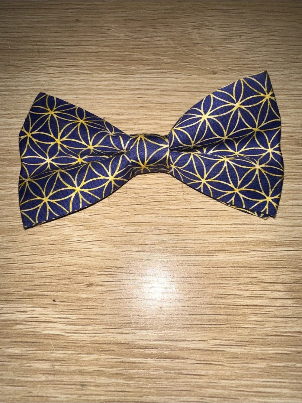 Pack Leashes Dog Collar Bow Ties Set of 2 NWOT Winston & Rainforest